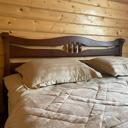 Center Cottage * Slavske